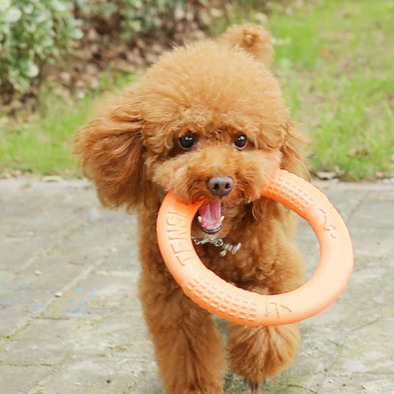 Hundespielzeug / Spielring