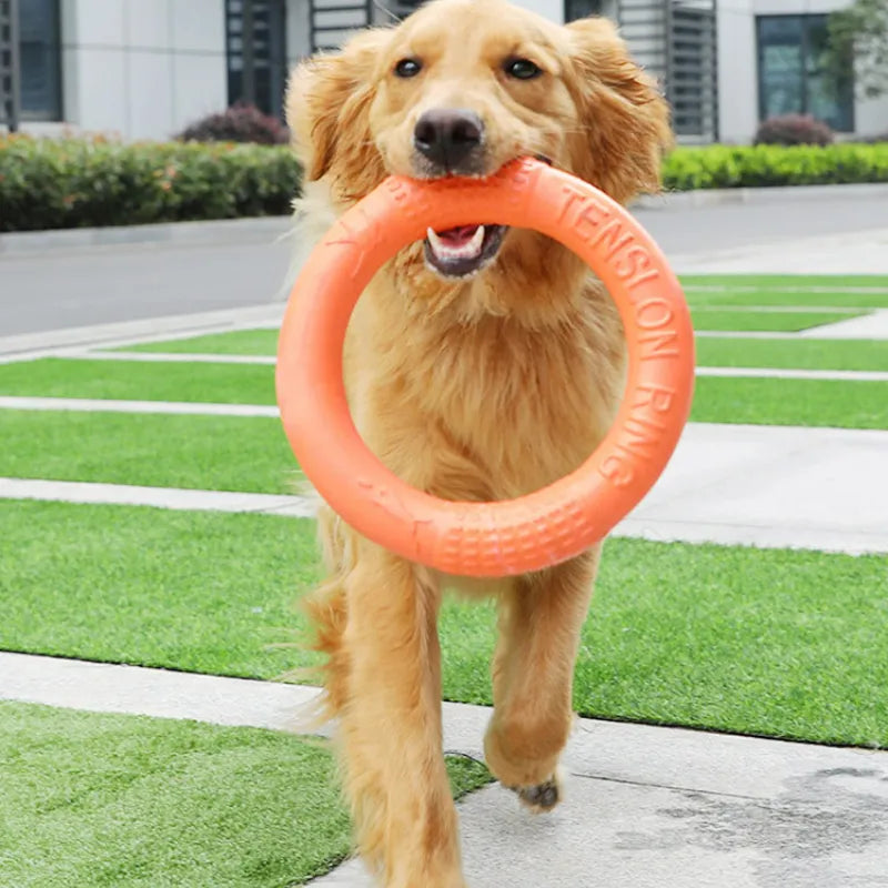 Hundespielzeug / Spielring